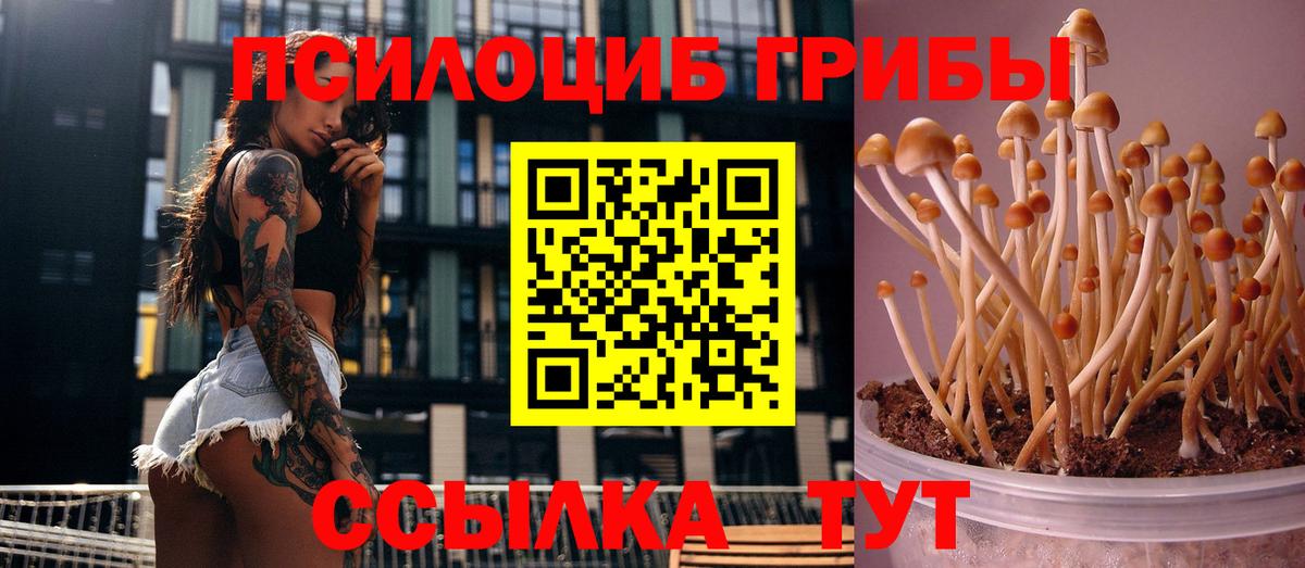 Псилоцибиновые грибы прущие грибы Бугульма