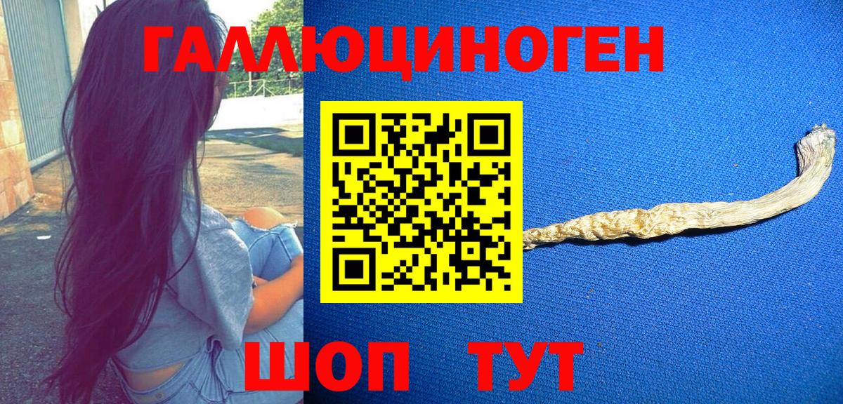 Галлюциногенные грибы MAGIC MUSHROOMS  Вход с VPN  Бугульма 